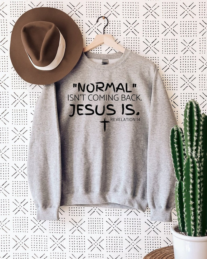 Normal Isn't Coming Back Jesus Is Long Sleeve Sweatshirt